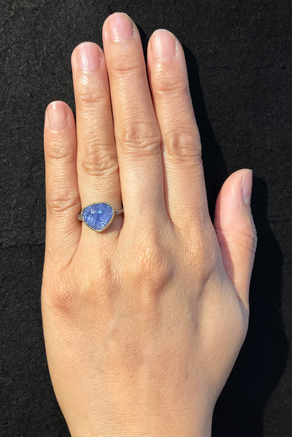 Forged Free-Form Tanzanite Ring hand
